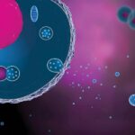 What Are Exosomes?