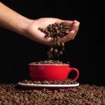 Setting up Your Wholesale Coffee Business